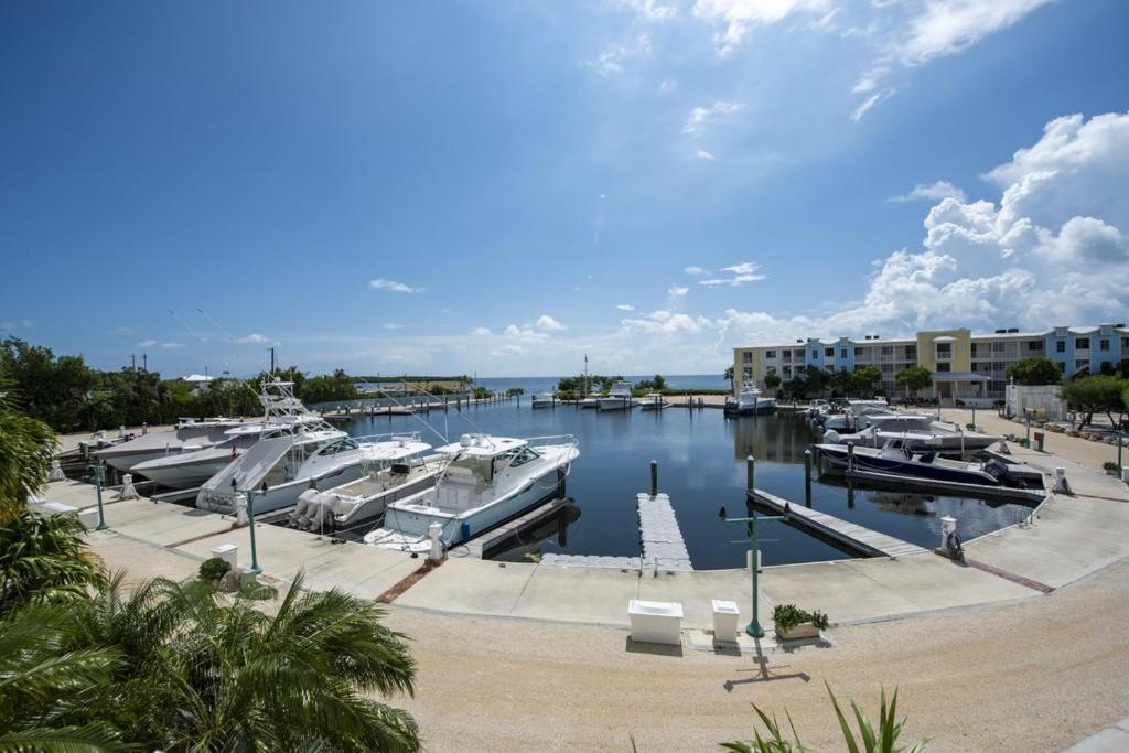 Licensed Mgr - Luxury Vip Penthouse Suite - Offers Resorts Best Panoramic Ocean Views! Key Largo Exterior foto